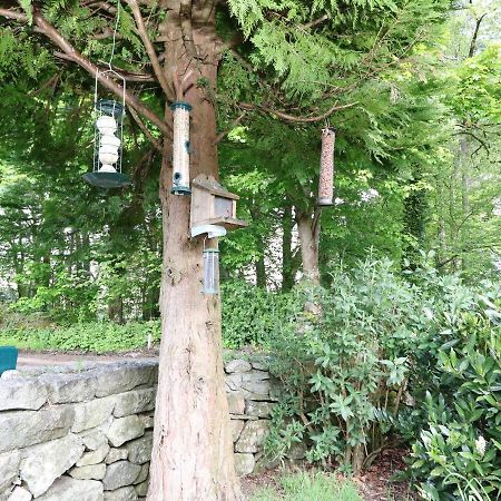 Appartamento Upper Brackendale Taynuilt Esterno foto